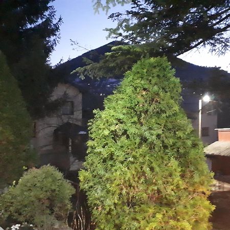Obiteljski Apartman Borovi 维索科 外观 照片