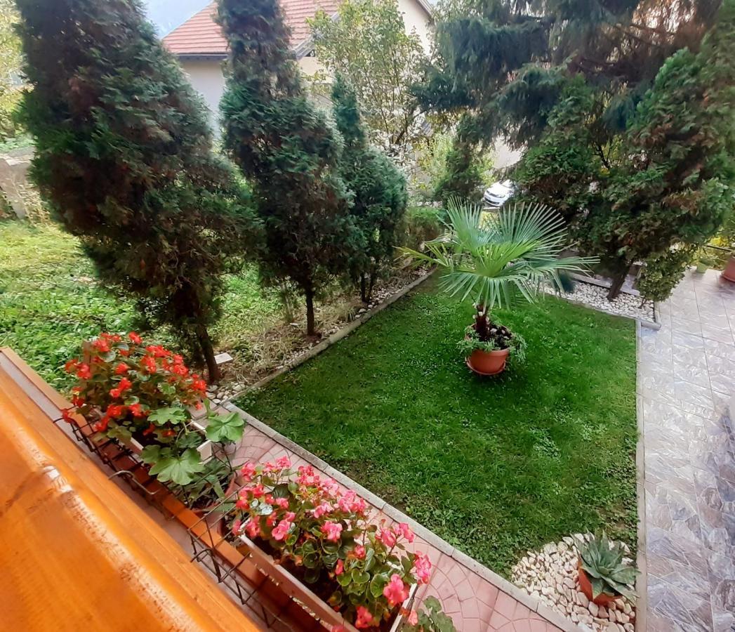 Obiteljski Apartman Borovi 维索科 外观 照片